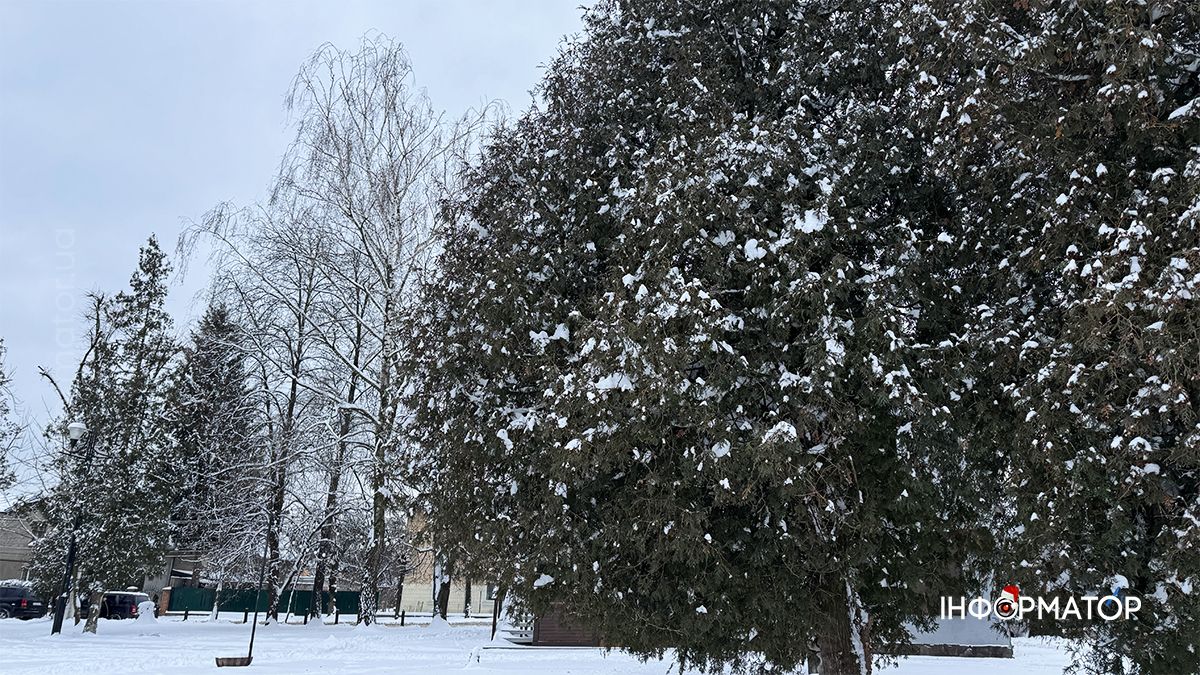 Зимовий ранок на озері в Коломиї: фоторепортаж 4