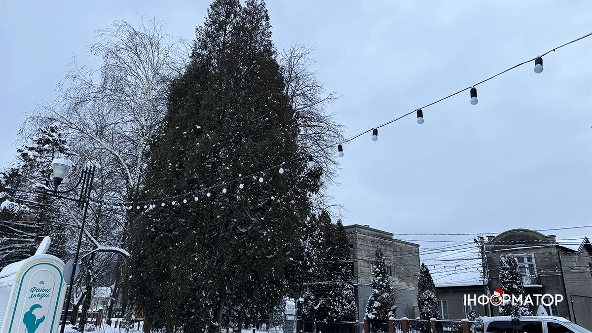 Зимовий ранок на озері в Коломиї: фоторепортаж 1