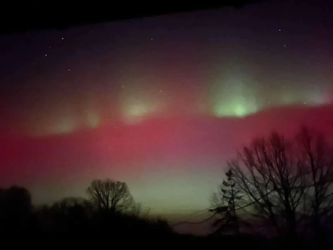 Фото, надіслані Інформатору коломиянкою Ярославою