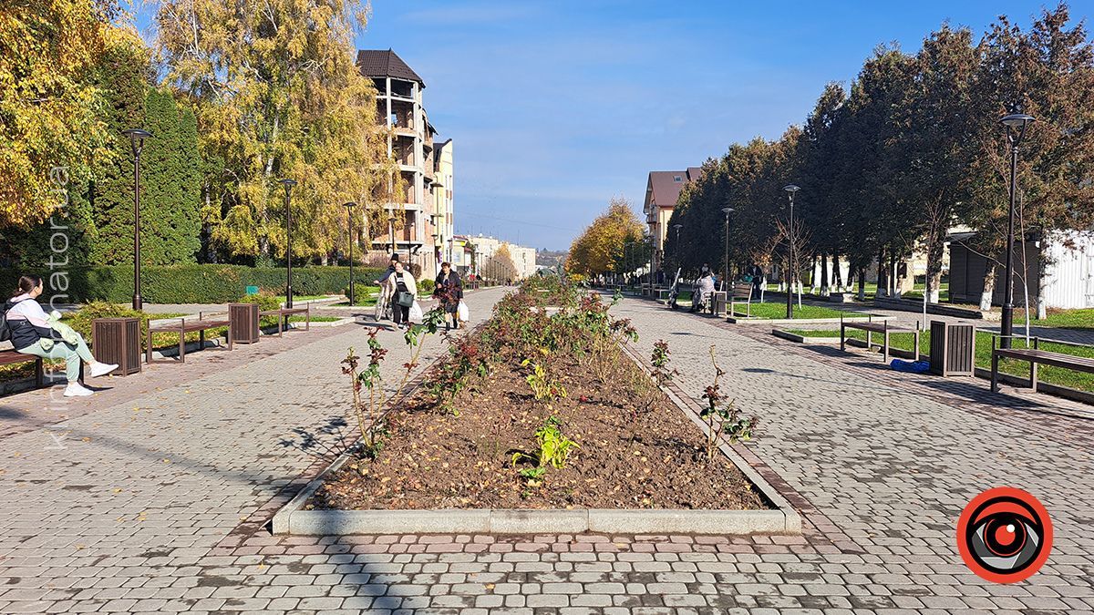 Яких фахівців шукають у Городенці 20 січня