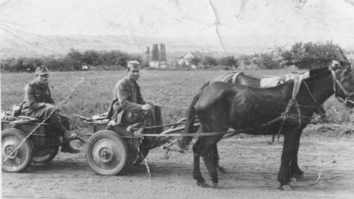 Саджавка на ретро-світлинах: як виглядало мальовниче село над Прутом у давнину 2