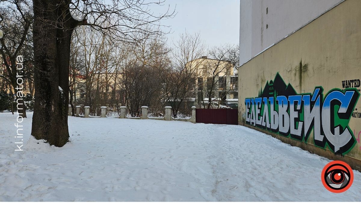 Воїн 10-ї бригади «Едельвейс» створив мурали у Коломиї та Слов’янську до Дня Соборності України 1