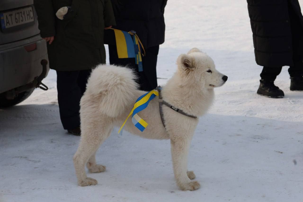 З’єднали два береги Пруту: у Коломиї пластуни утворили живий ланцюг до Дня Соборності 13