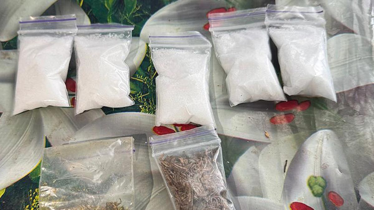 Вилучили наркотиків на 10 млн грн: на Прикарпатті викрили групу наркоторговців 2