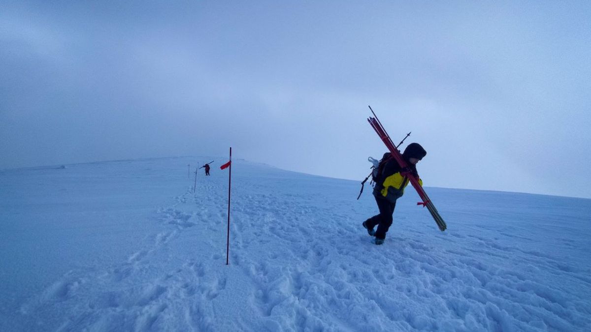 Нововстановлене зимове маркування на маршруті до Говерли