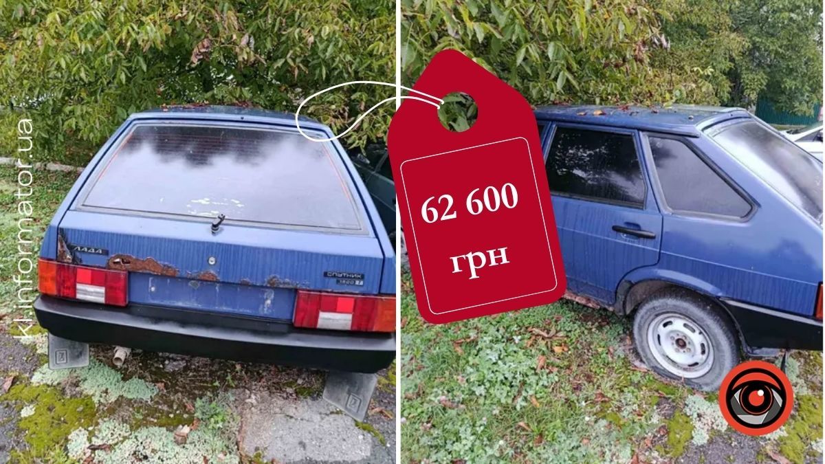 Стареньку дев'ятку з аукціону продає соцзахист Коломийщини