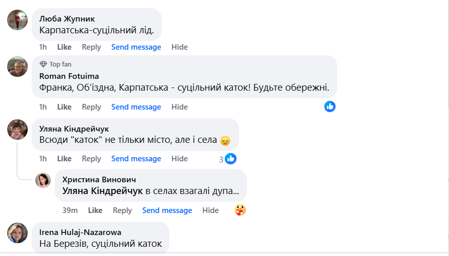 Замість авто — ковзани: крижаний дощ скував вулиці Коломиї 1