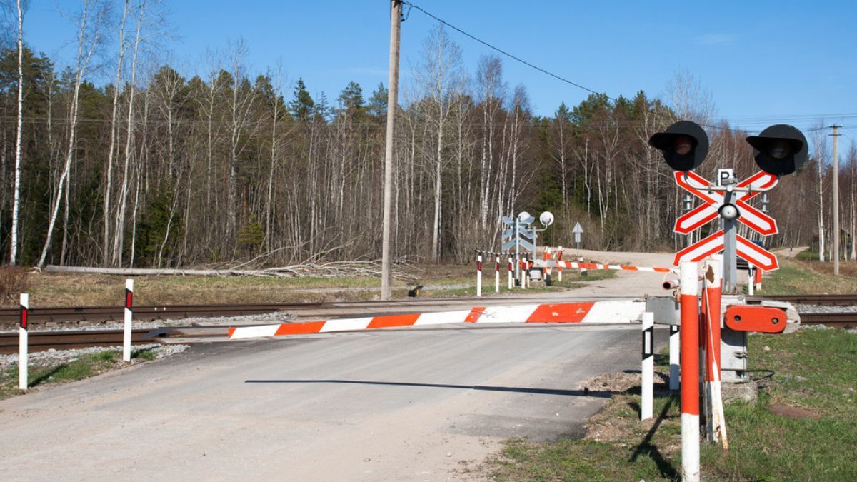 Прикарпаття під час вимкнень світла можуть не працювати світлофори
