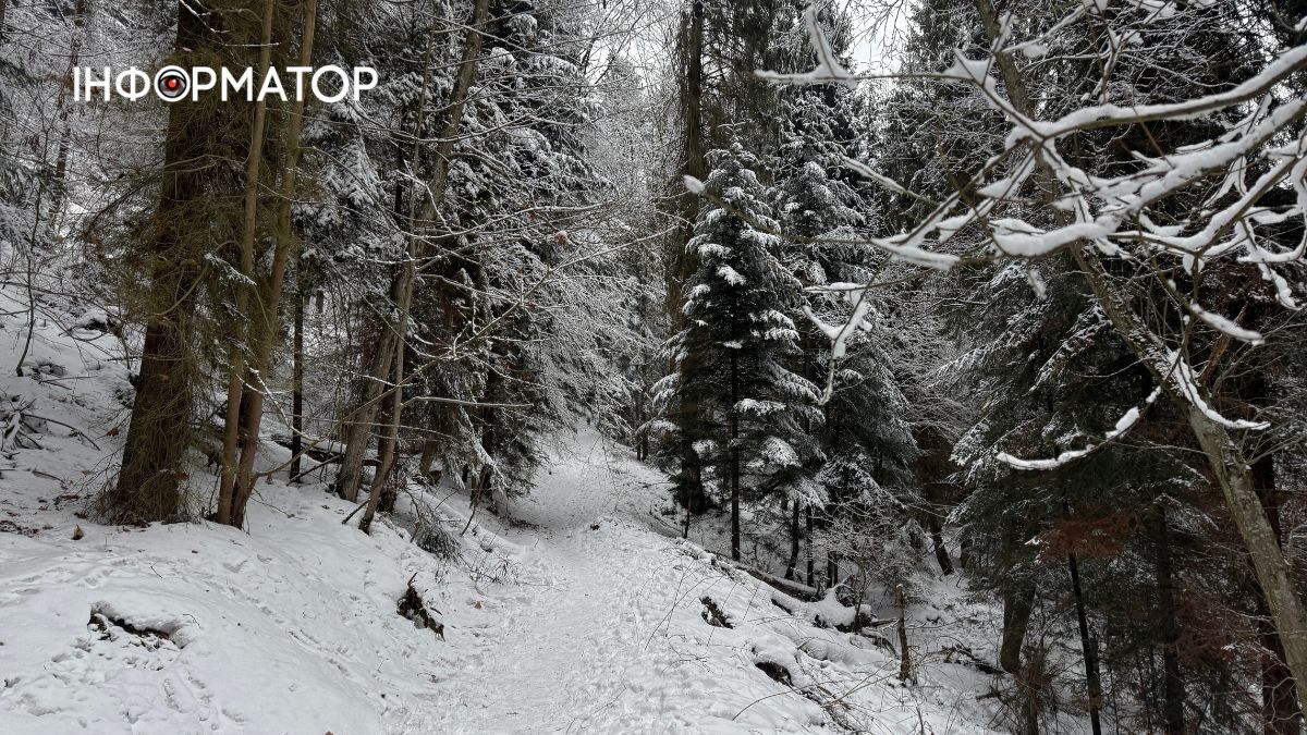 Кришталеве дихання гір: як виглядає зимова казка у серці Карпат 3