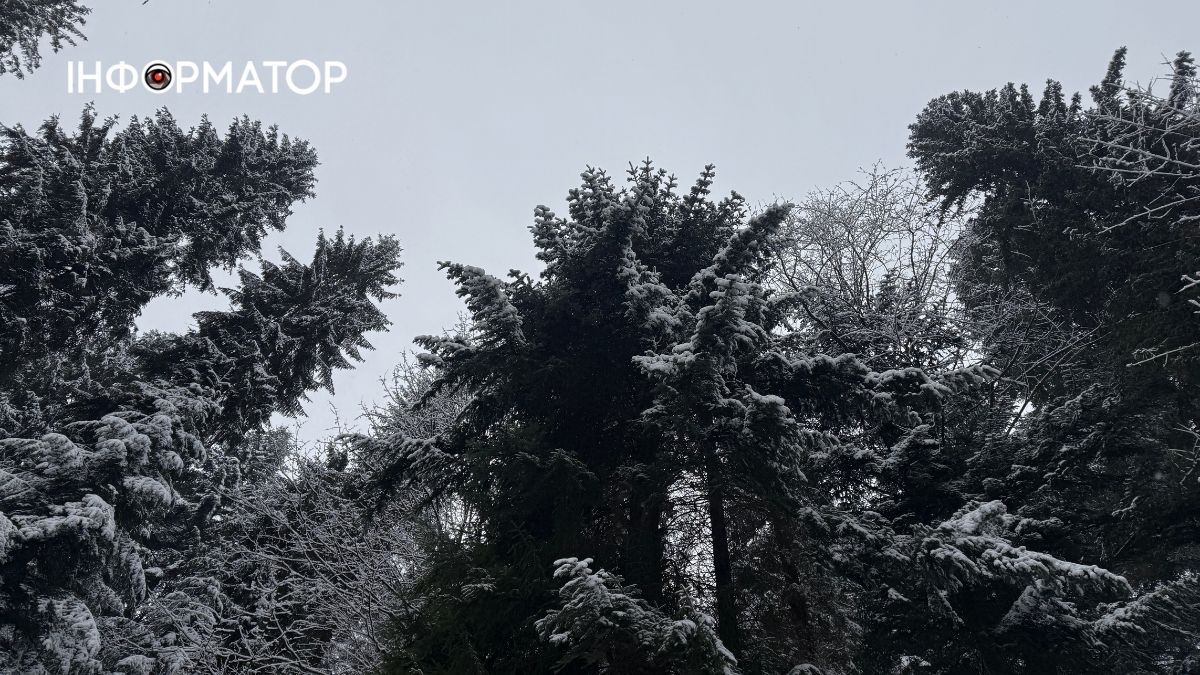 Кришталеве дихання гір: як виглядає зимова казка у серці Карпат 4