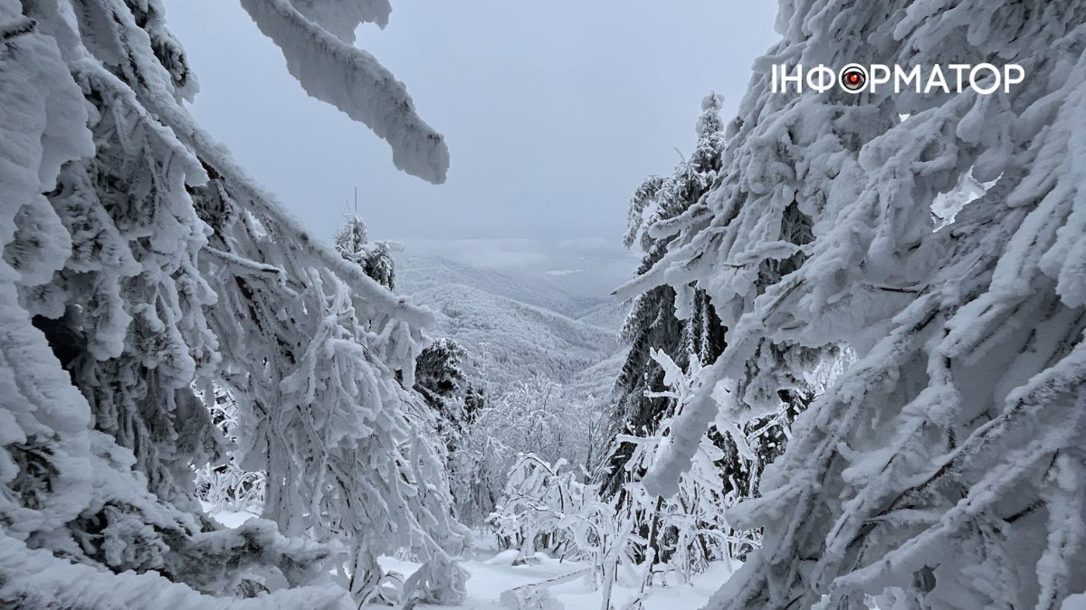 Кришталеве дихання гір: як виглядає зимова казка у серці Карпат 6