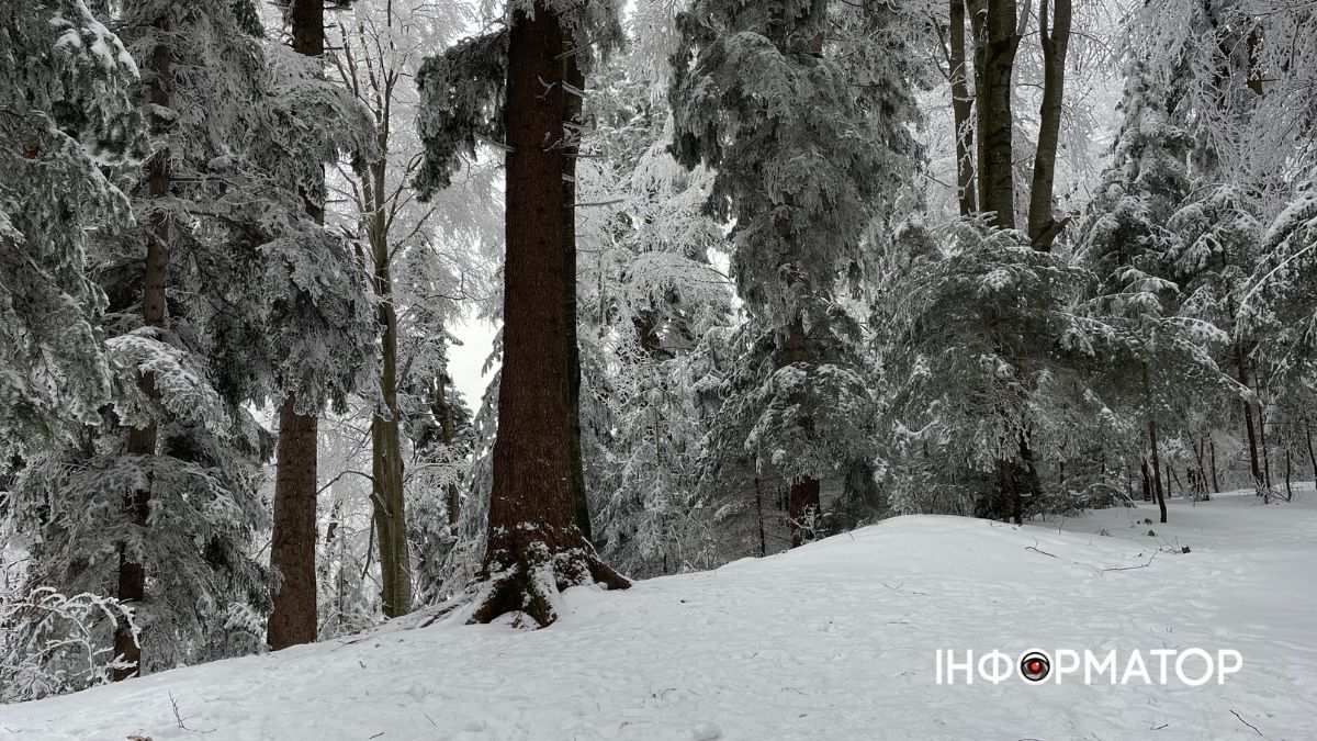 Кришталеве дихання гір: як виглядає зимова казка у серці Карпат 7