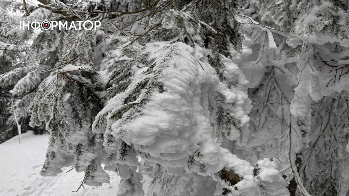 Кришталеве дихання гір: як виглядає зимова казка у серці Карпат 9