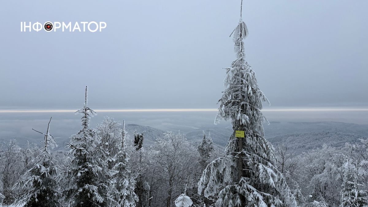 Кришталеве дихання гір: як виглядає зимова казка у серці Карпат 11