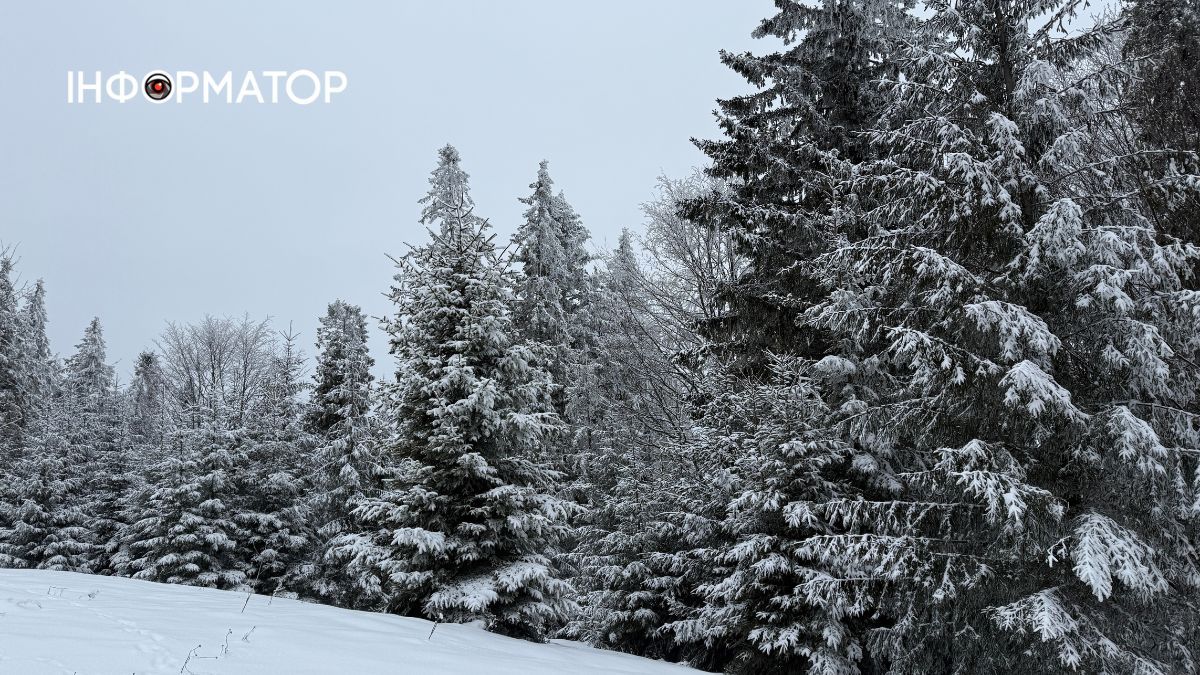 Кришталеве дихання гір: як виглядає зимова казка у серці Карпат 12