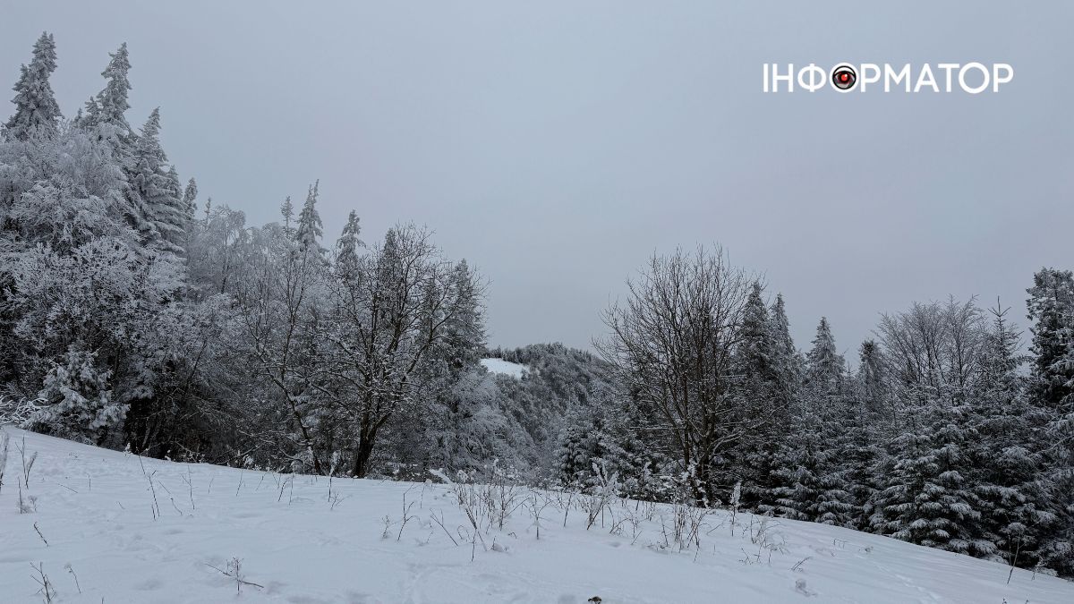 Кришталеве дихання гір: як виглядає зимова казка у серці Карпат 13