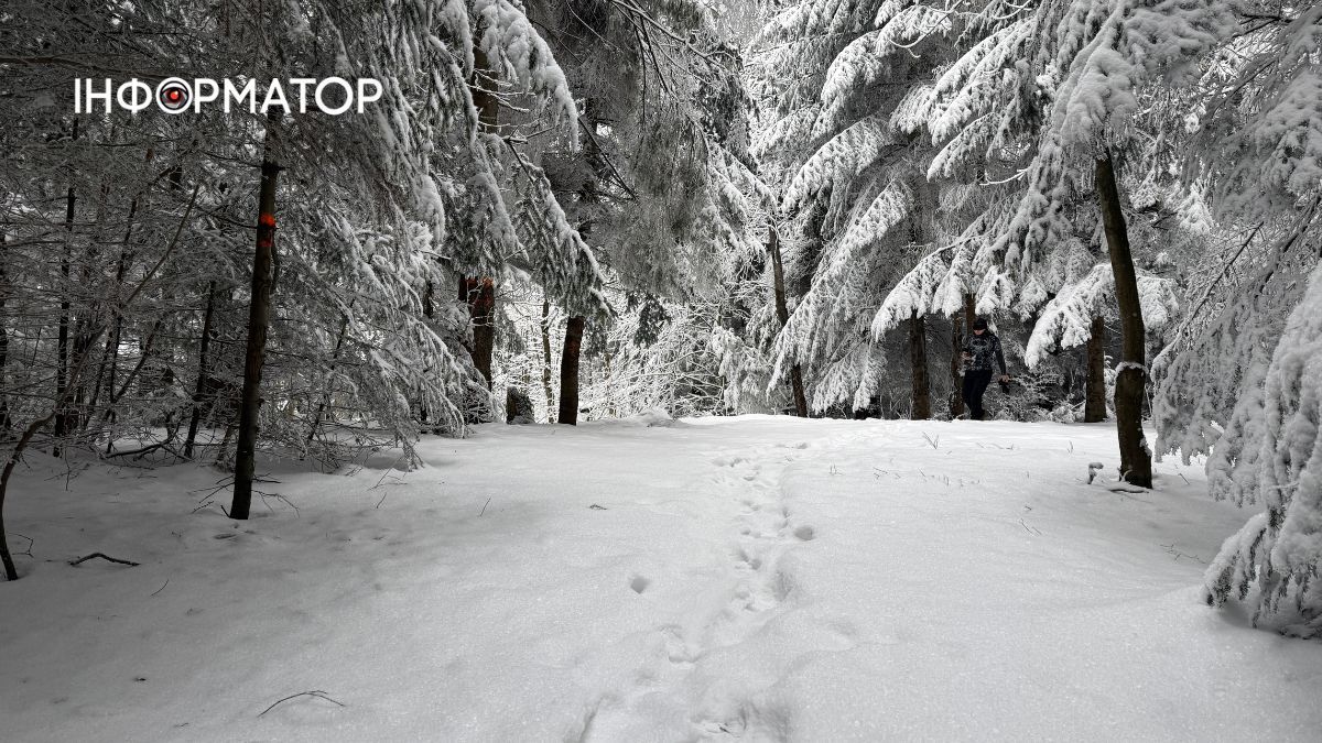 Кришталеве дихання гір: як виглядає зимова казка у серці Карпат 17