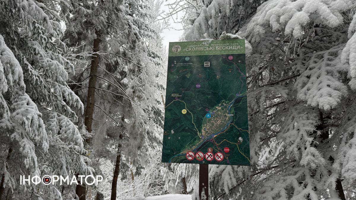 Кришталеве дихання гір: як виглядає зимова казка у серці Карпат 19