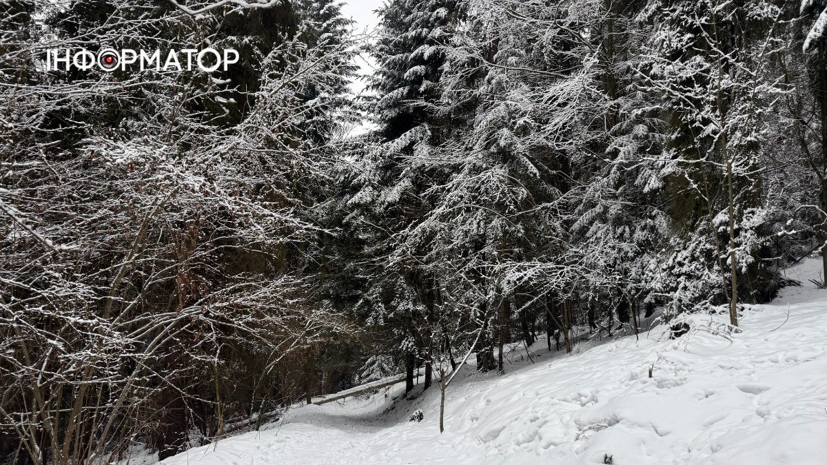 Кришталеве дихання гір: як виглядає зимова казка у серці Карпат 21