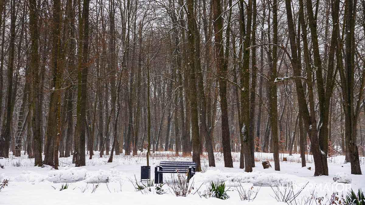 Під зимовою ковдрою: фоторепортаж Шевченківського парку в Коломиї 2