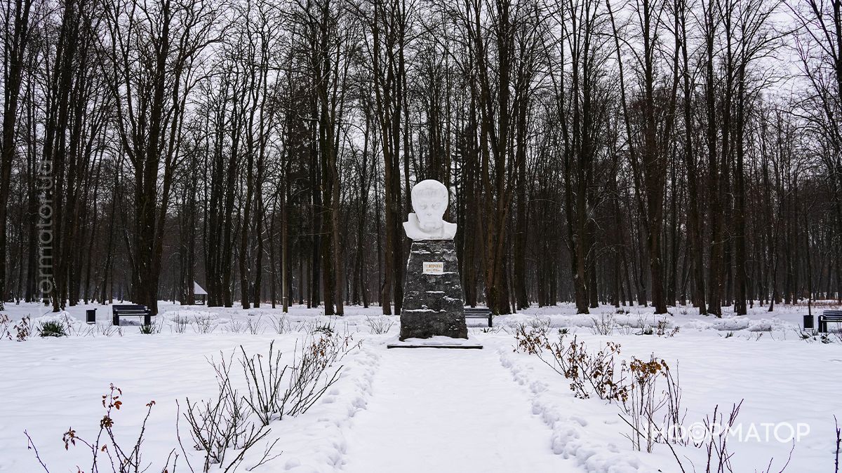 Під зимовою ковдрою: фоторепортаж Шевченківського парку в Коломиї 1