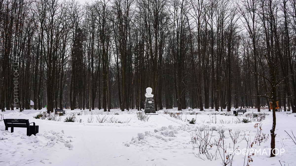 Під зимовою ковдрою: фоторепортаж Шевченківського парку в Коломиї 4