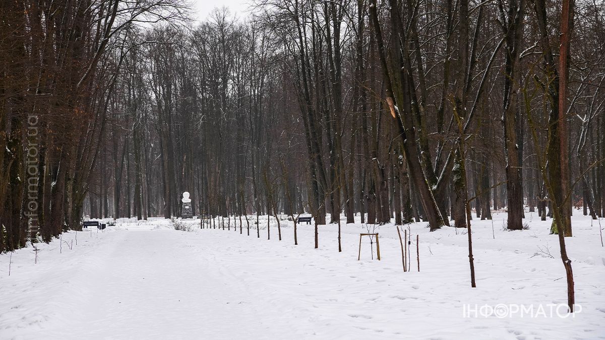 Під зимовою ковдрою: фоторепортаж Шевченківського парку в Коломиї 3