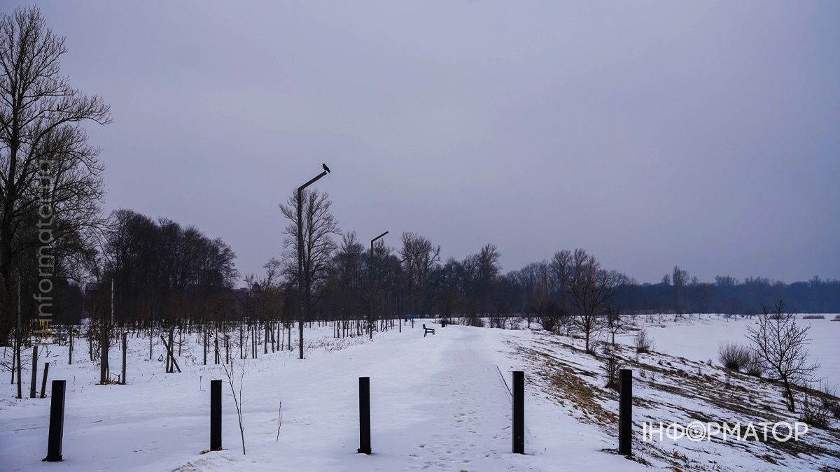 Під зимовою ковдрою: фоторепортаж Шевченківського парку в Коломиї 14