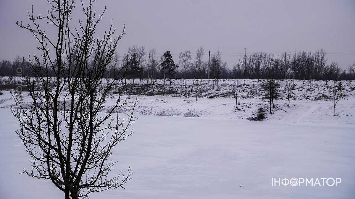 Під зимовою ковдрою: фоторепортаж Шевченківського парку в Коломиї 11