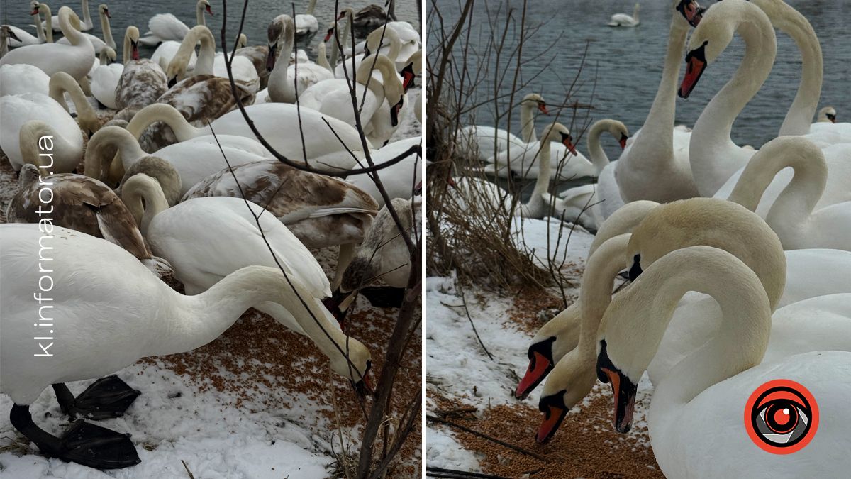 Святкуємо з користю: як «Інформатор Коломия» відзначив свій 4-й день народження 8