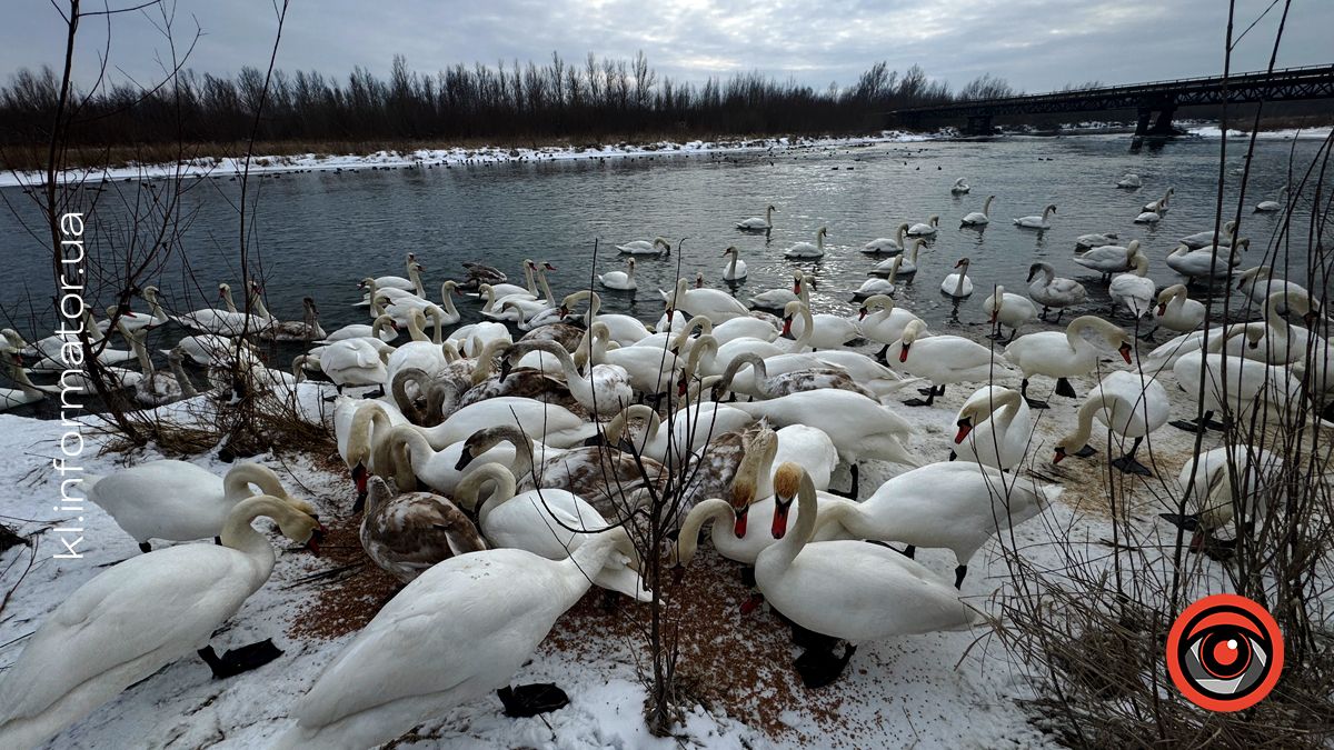 Святкуємо з користю: як «Інформатор Коломия» відзначив свій 4-й день народження 7
