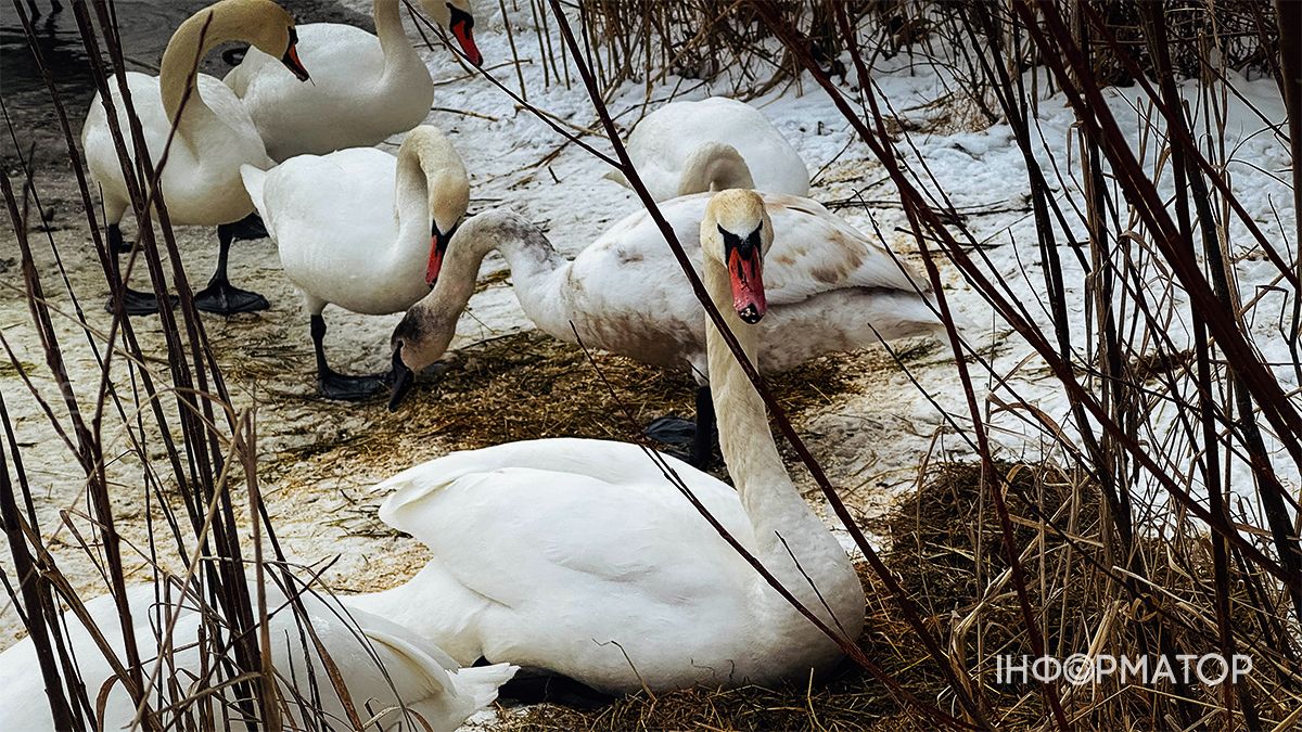 Святкуємо з користю: як «Інформатор Коломия» відзначив свій 4-й день народження 6