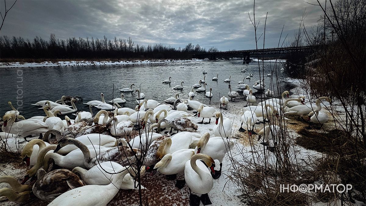 Святкуємо з користю: як «Інформатор Коломия» відзначив свій 4-й день народження 5
