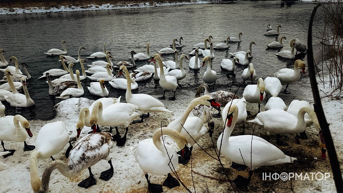 Святкуємо з користю: як «Інформатор Коломия» відзначив свій 4-й день народження 4