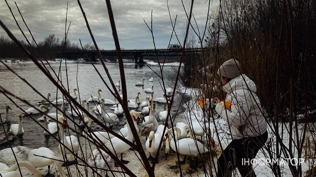 Святкуємо з користю: як «Інформатор Коломия» відзначив свій 4-й день народження 3