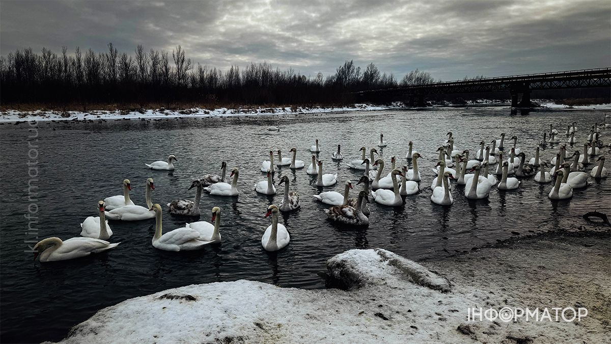 Святкуємо з користю: як «Інформатор Коломия» відзначив свій 4-й день народження 2