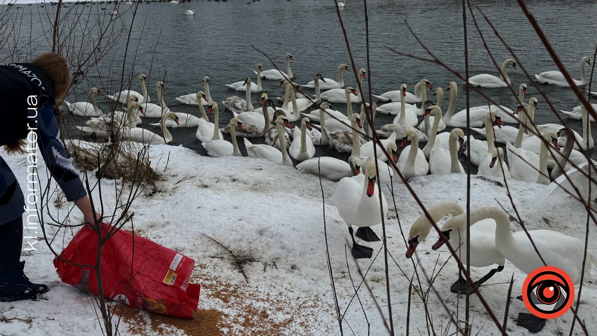 Святкуємо з користю: як «Інформатор Коломия» відзначив свій 4-й день народження 1