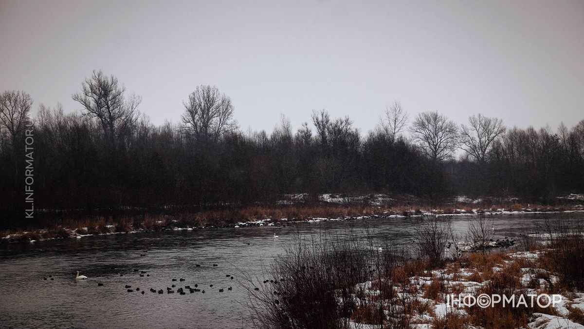 Зимова тиша Пруту: фоторепортаж із засніжених берегів 1