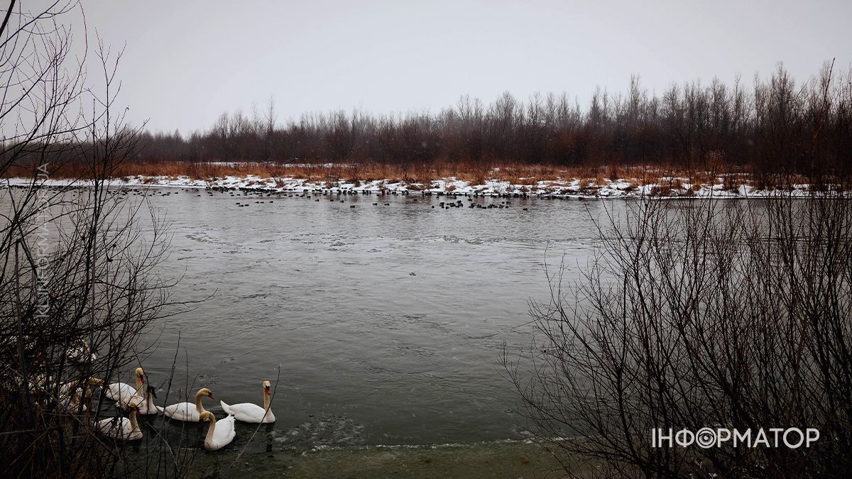 Зимова тиша Пруту: фоторепортаж із засніжених берегів 13