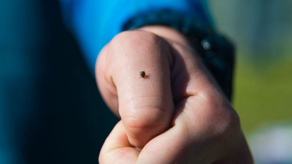 Цей день в календарі: свята, іменини, прикмети 22 лютого