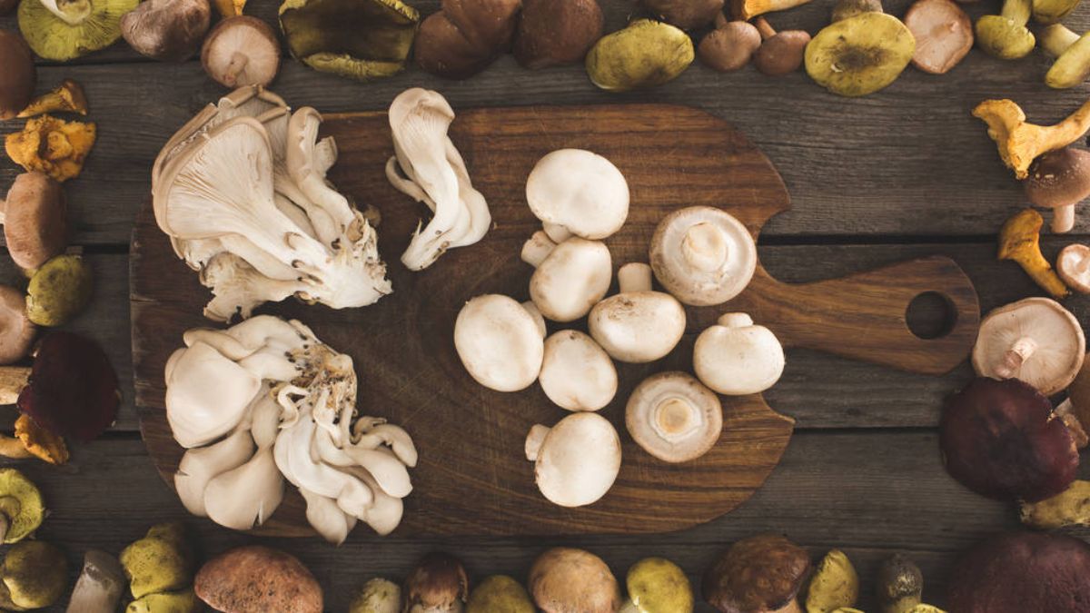 Цей день в календарі: свята, іменини, прикмети 23 лютого