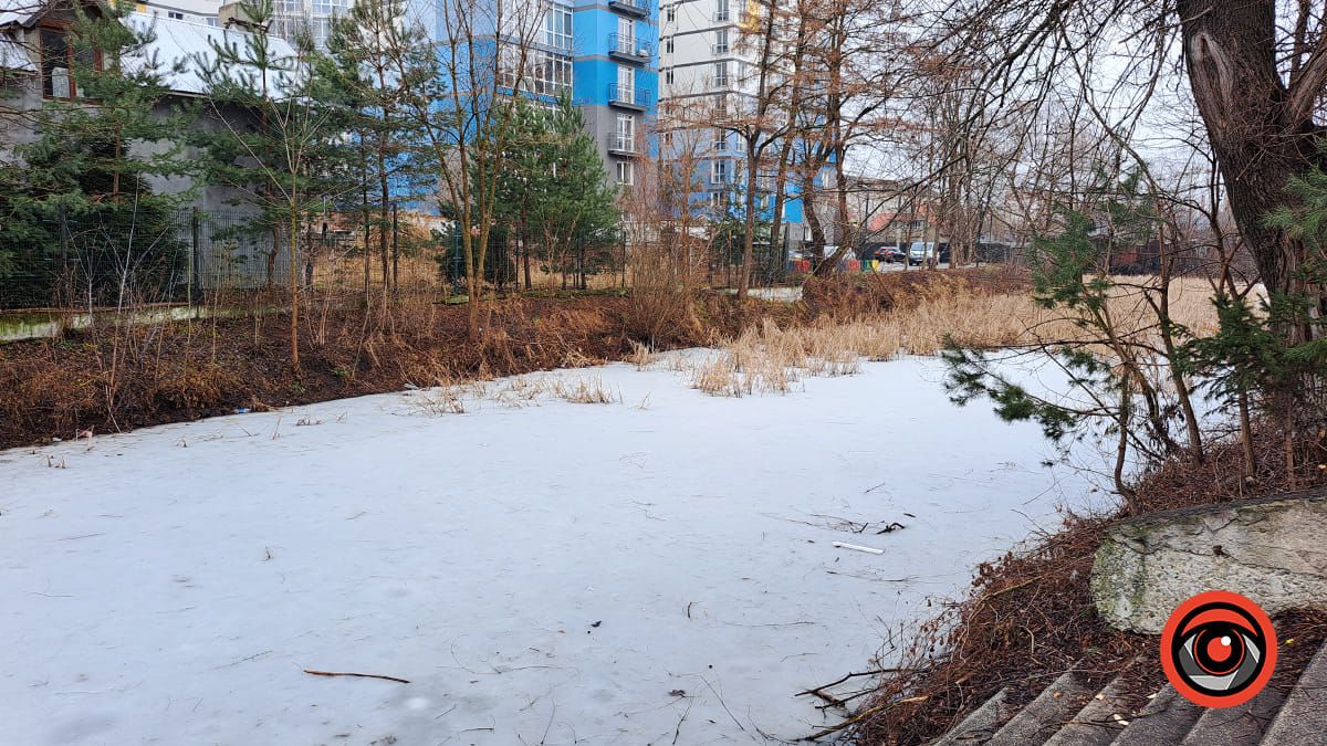 Сучасний вигляд Ткацького озера в Коломиї