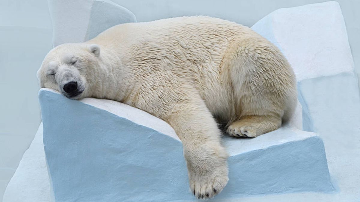 Цей день в календарі: свята, іменини, прикмети 27 лютого