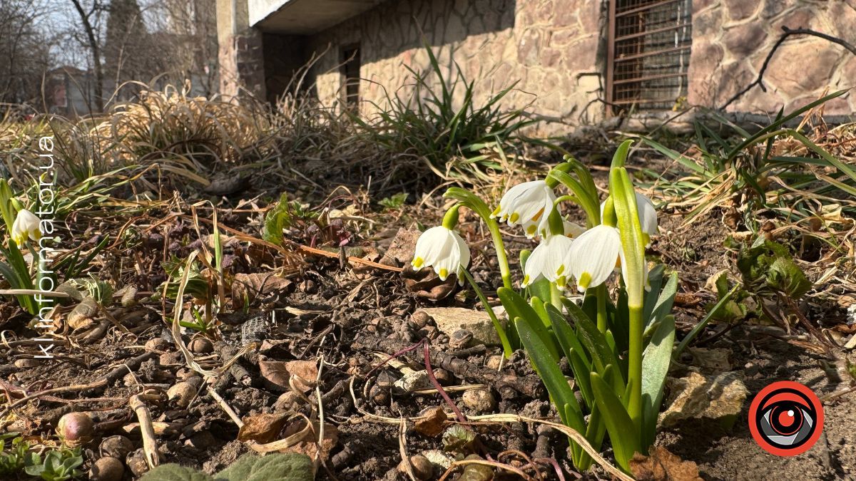 Погода у Коломиї 1 березня