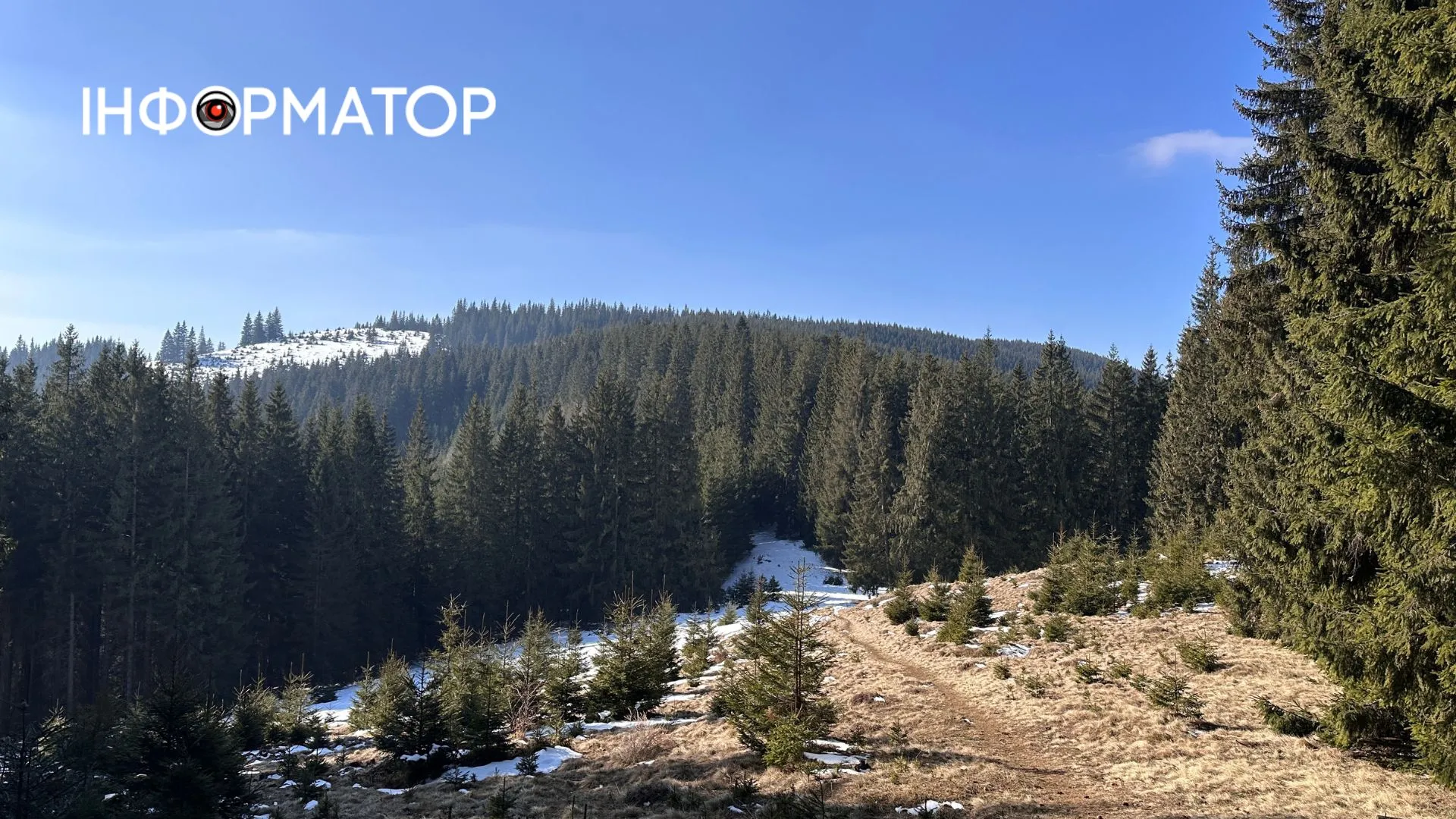 Контрабанда через Карпати