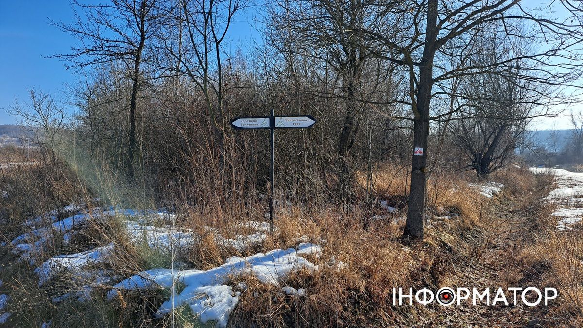 На Воскресінецькій горі розпустились перші підсніжники 4