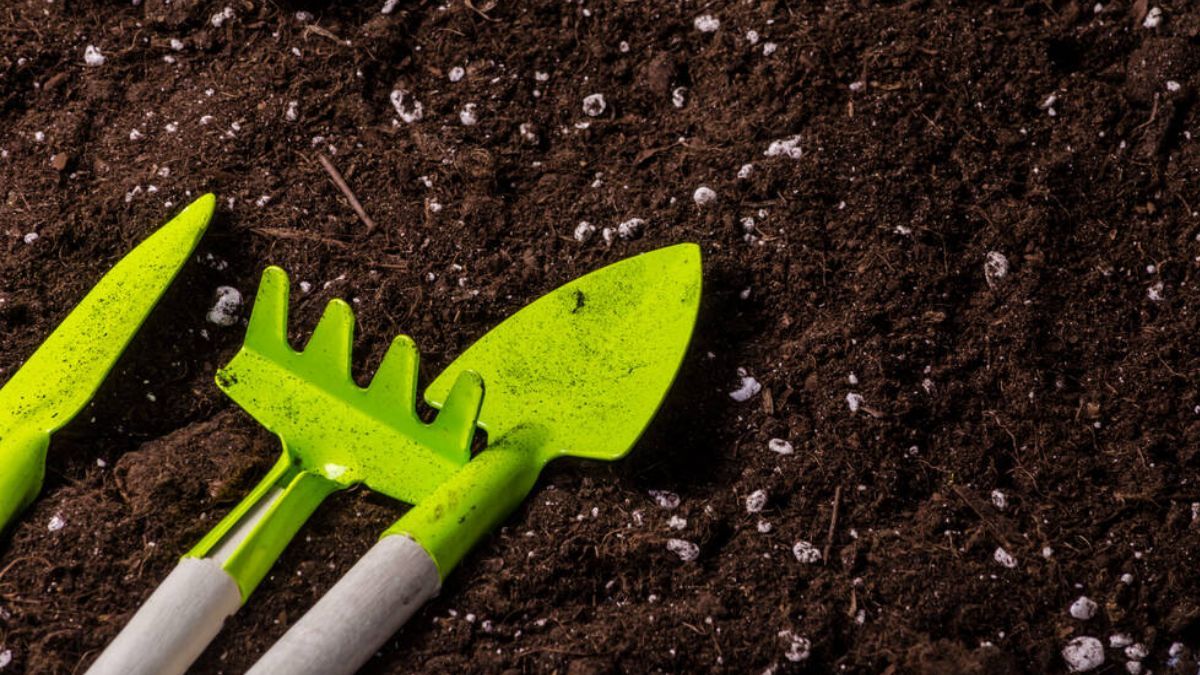 Обробка землі та підготовка до посіву: календар городника на 2-8 березня