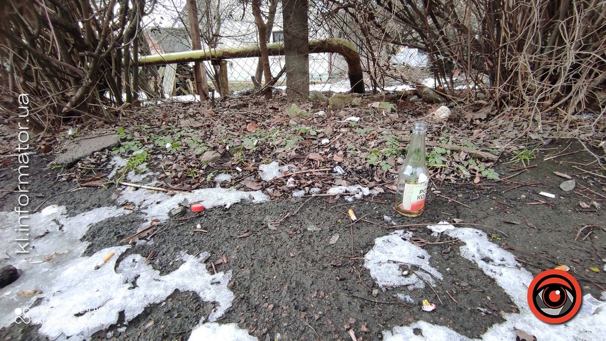 Весняні жнива: що вилізло з-під снігу на вулицях Коломиї 3