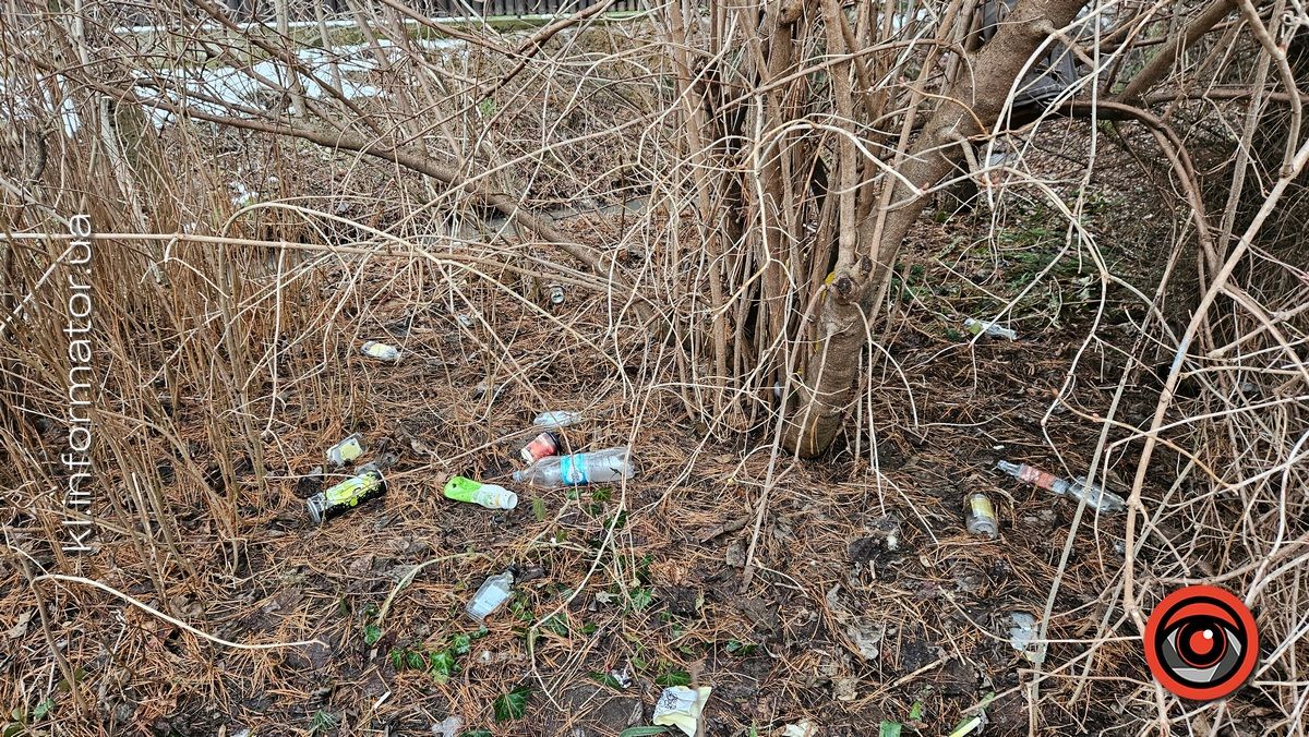 Весняні жнива: що вилізло з-під снігу на вулицях Коломиї 2