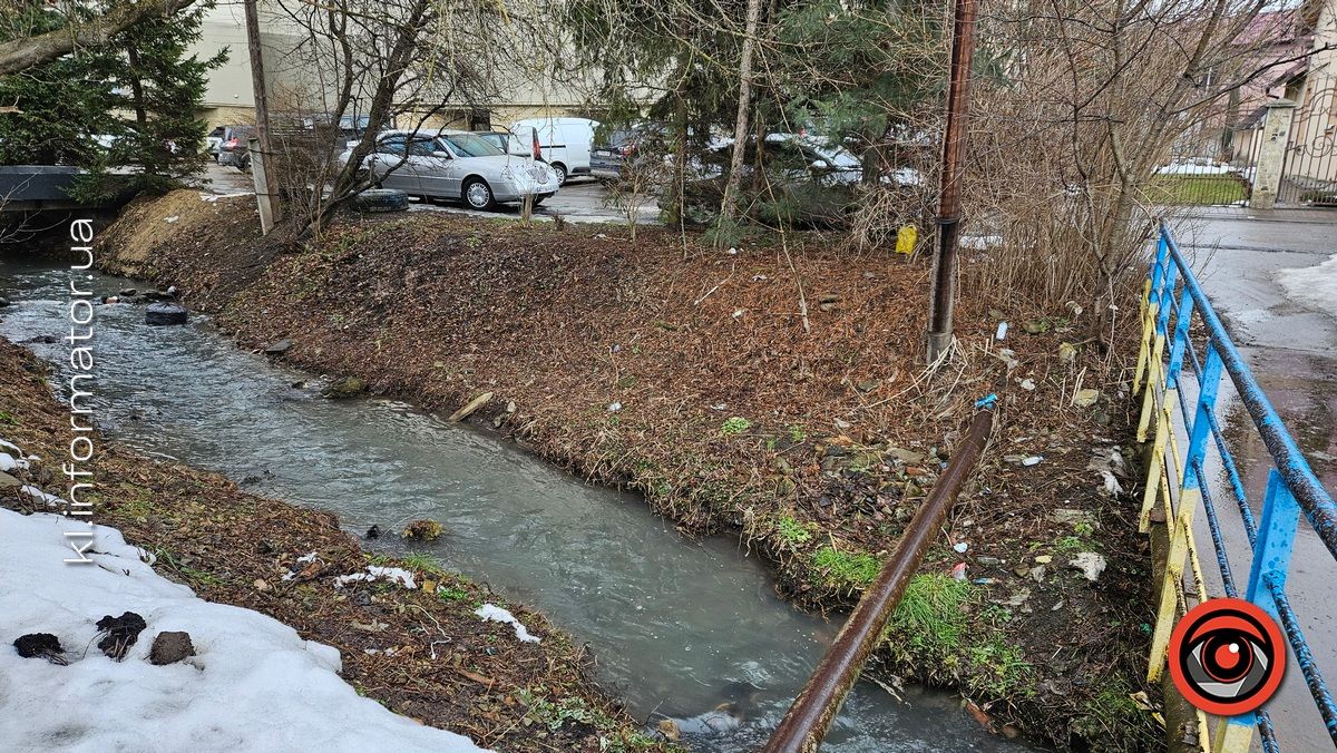 Весняні жнива: що вилізло з-під снігу на вулицях Коломиї 1